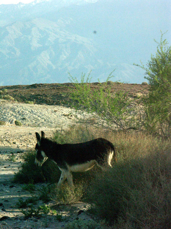 3-25-04----old3-25-04----pict0129