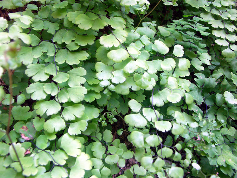 3-29-04---old3-27-04----pict0086