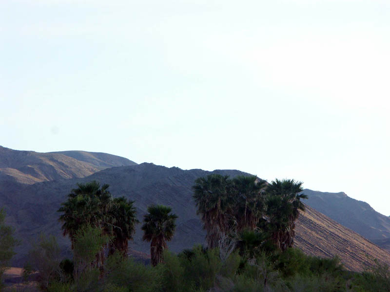 3-29-04---old3-29-04----pict0149