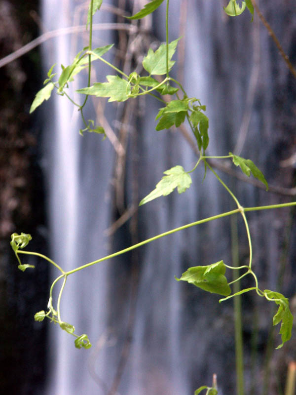 3-29-04---old3-30-04----pict0060